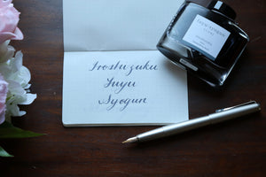Iroshizuku Fuyu Syogun